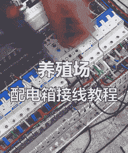 养殖场用的电线怎么安