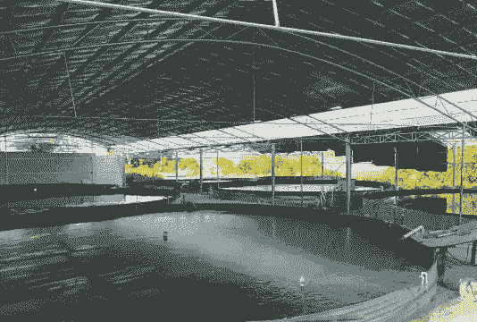 养殖场怎么做鱼塘生意