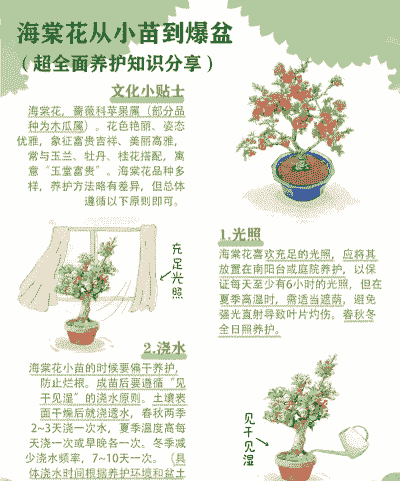 海棠花要怎么养殖开花快