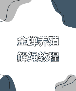 知了怎么养殖