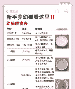 养殖猫生幼崽怎么办