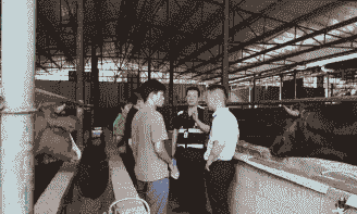 怎么跟养殖场老板聊天呢