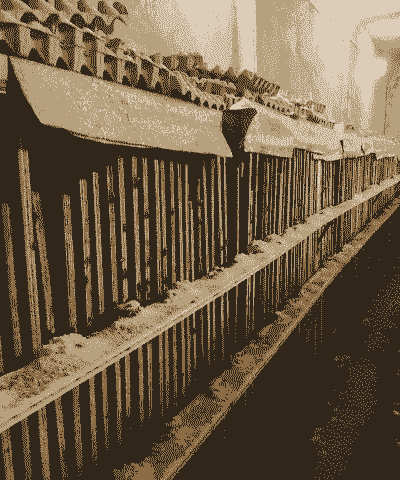 90后养殖生意怎么样呀