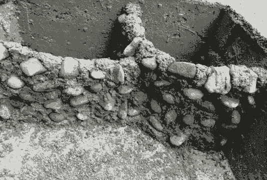 林下养殖水泥池怎么做