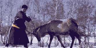 养殖狍子没食欲是怎么啦