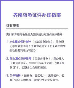 山东陆龟养殖证怎么办理