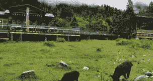 穷人养殖创业经验怎么样