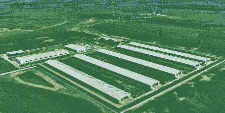 养殖业前景怎么样