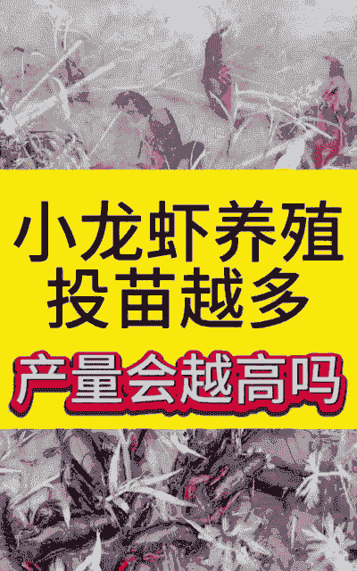 是否要养殖小龙虾怎么查