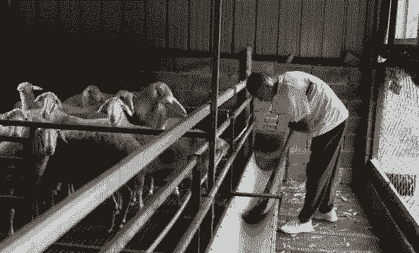 养殖的男人性格怎么样