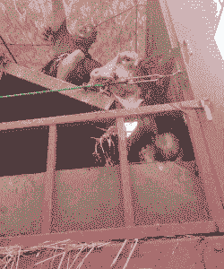 拉令拉了年养殖怎么样