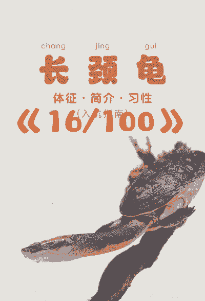 爬行动物长颈龟怎么养殖