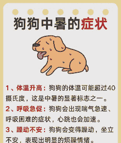 养殖土狗天气热怎么办呢