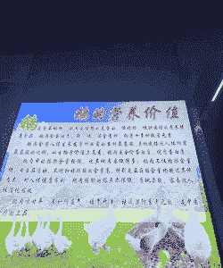 肉鹅养殖企业简介怎么写