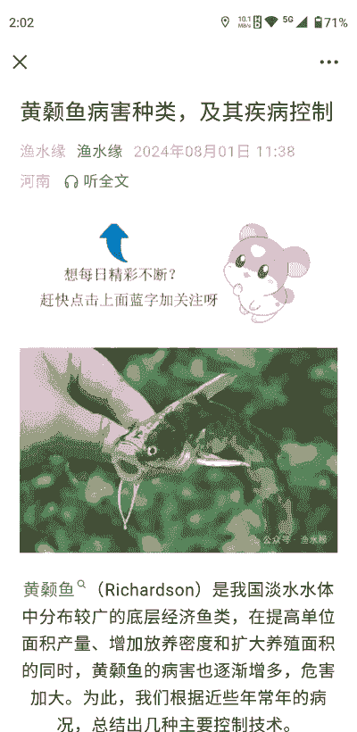 养殖黄骨鱼闭口怎么办