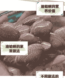 油蛤怎么养殖