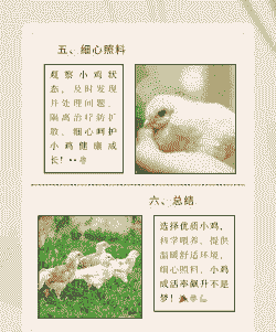 养殖场怎么成活率高