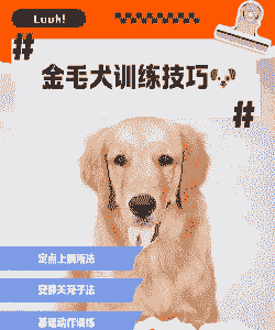 养殖户怎么抓大狗的