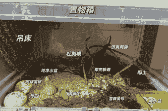 小螃蟹在鱼缸怎么样养殖