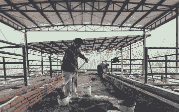 农村人怎么建养殖场呢