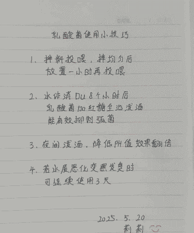 水产养殖怎么搞乳酸菌