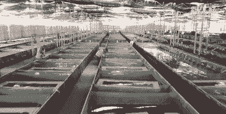 立体养殖小龙虾怎么样