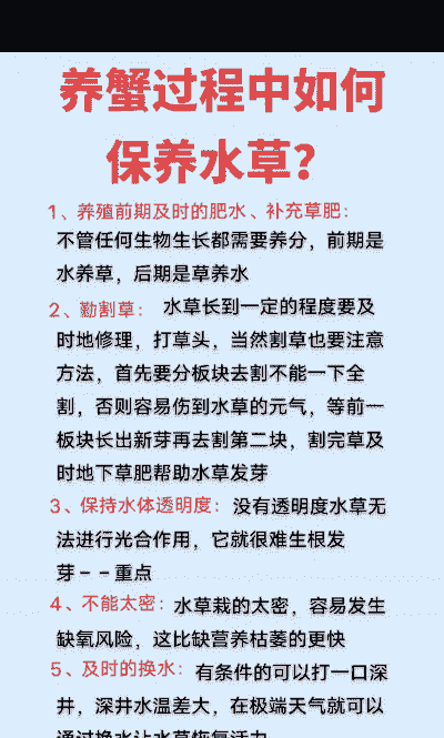 养殖业怎么做生态修复