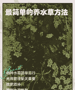 一亩地怎么养殖水草呢