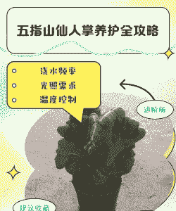 五指山冬天怎么养殖