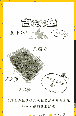 怎么做一个生态养殖