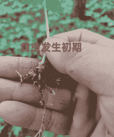 山里养殖有铁线虫怎么办