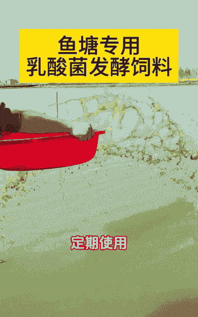 乳酸菌怎么扩培水产养殖