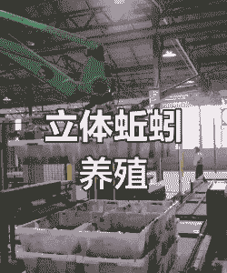 怎么样才能做到立体养殖