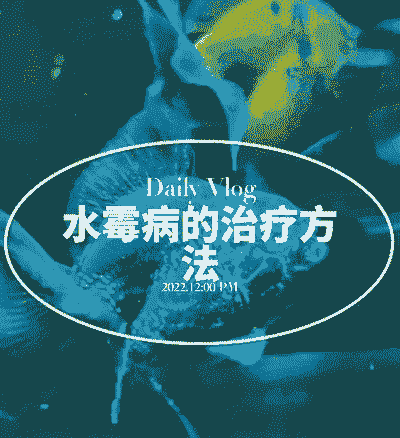 养殖场怎么治疗水霉