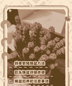 几千块钱怎么养殖