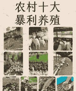 怎么夸赞养殖场的老板好