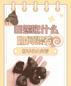 幼儿园养殖区螺蛳怎么养