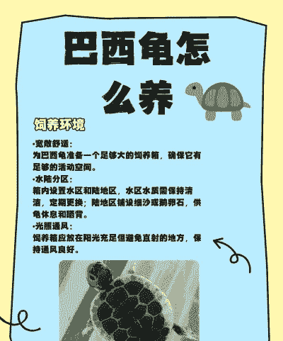 巴西乌龟6厘米怎么养殖