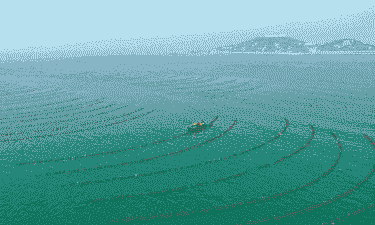 烟台长岛养殖公司怎么样