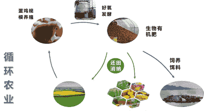 生态养殖业怎么样划分