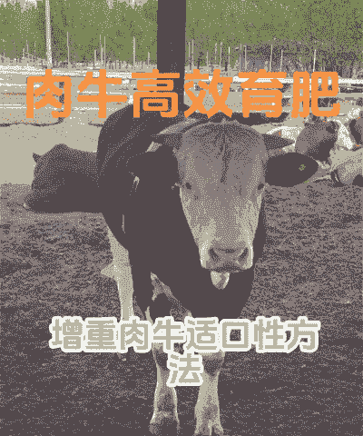 养殖场牛怎么喂肥得快些