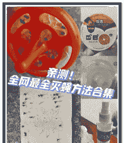 养殖场里的苍蝇怎么除虫