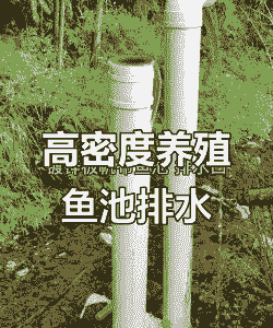 养殖场排水口怎么排污