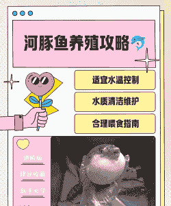 淡水河豚养殖前景怎么样