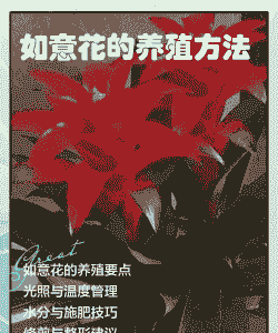 如意花怎么养殖