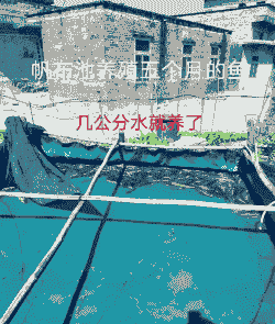 养殖鱼塘里发红澡怎么办