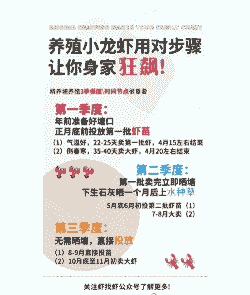 小龙虾怎么养殖方法精养