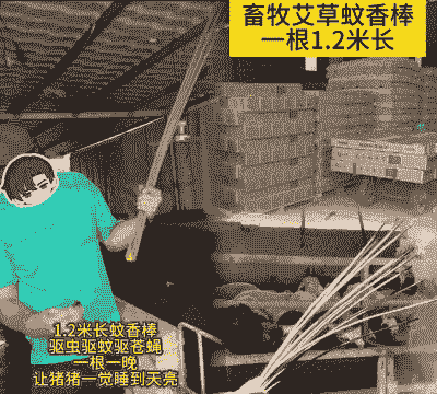 江西养殖灭蚊香棒怎么样