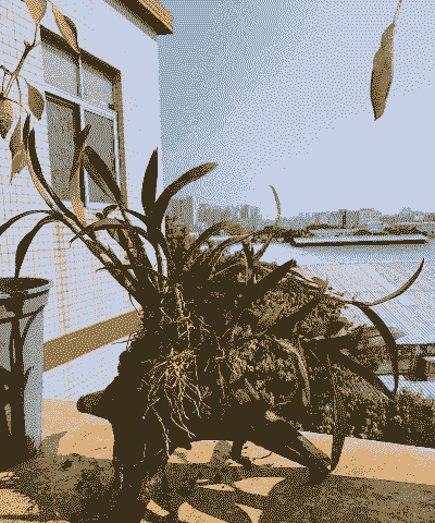 养殖场烂木桩怎么办