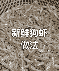 狗虾怎么养殖